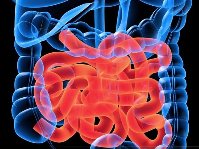 Parasitoak heste meharrean