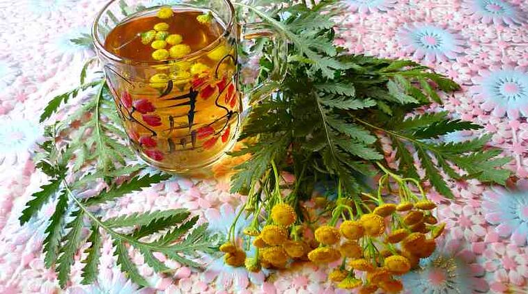 Tansy infusioa parasitoak gorputzetik kanporatzen lagunduko du