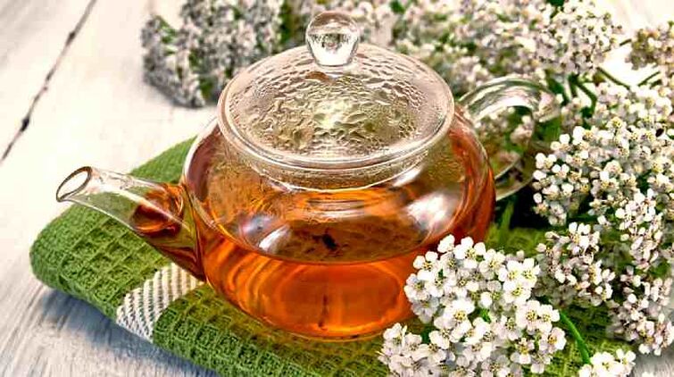 Yarrow decoction, parasitoen aurkako efektua duena